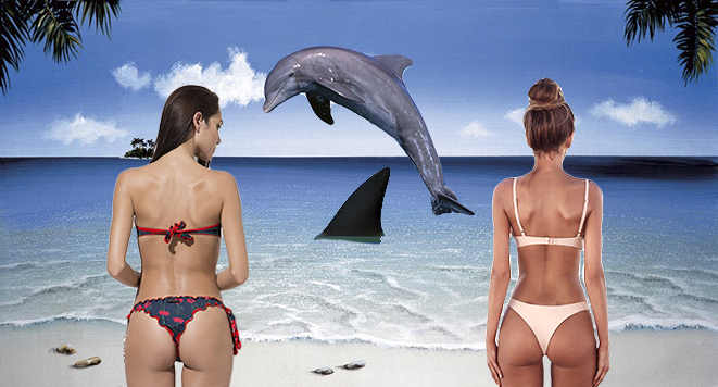 Il delfino curioso e lo squalo razzista. Ovvero: “la Repubblica” è piena di racconti da fare invidia a Carver ma che risalgono al Ku Klux Klan