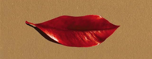 In superficie. Sul romanzo di Lidia Ravera: con una malia grafica sbarazzina, le foglie, simbolo della fugacità della vita, diventano labbra