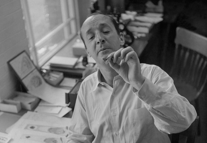 Quando Vladimir Nabokov, in veste di Arlecchino, perse le staffe perché “in quella zuffa astratta per il Premio Supremo” (il Nobel) a vincere non fu lui ma Solochov (o Solzenicyn, è uguale)
