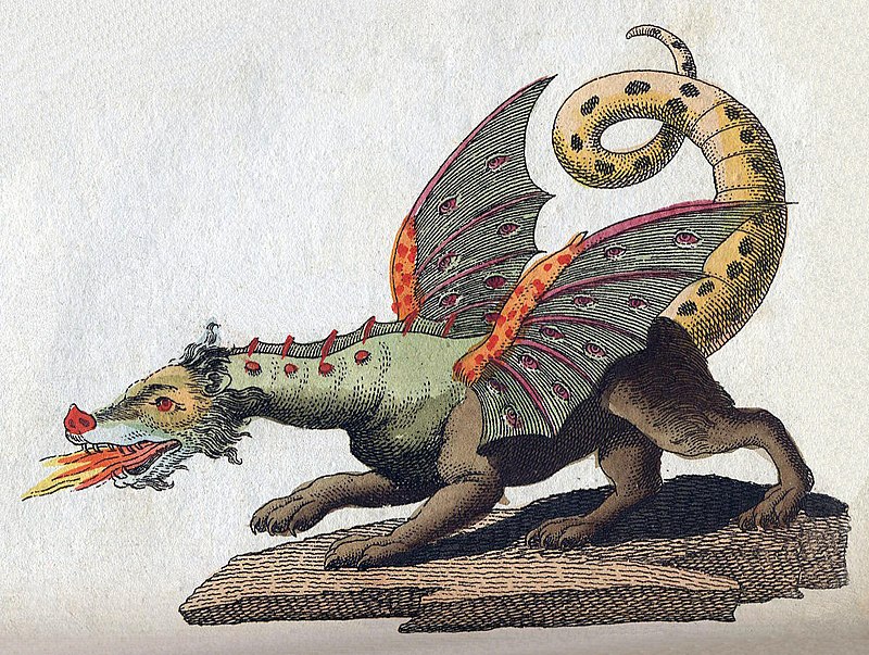 Come un “drago da passeggio” può sovvertire l’idiozia di massa. Elogio di Carlo Mollino, l’architetto folle che guidava aerei, progettava bolidi, fotografava erotiche trasparenze e inscatolò animali da favola