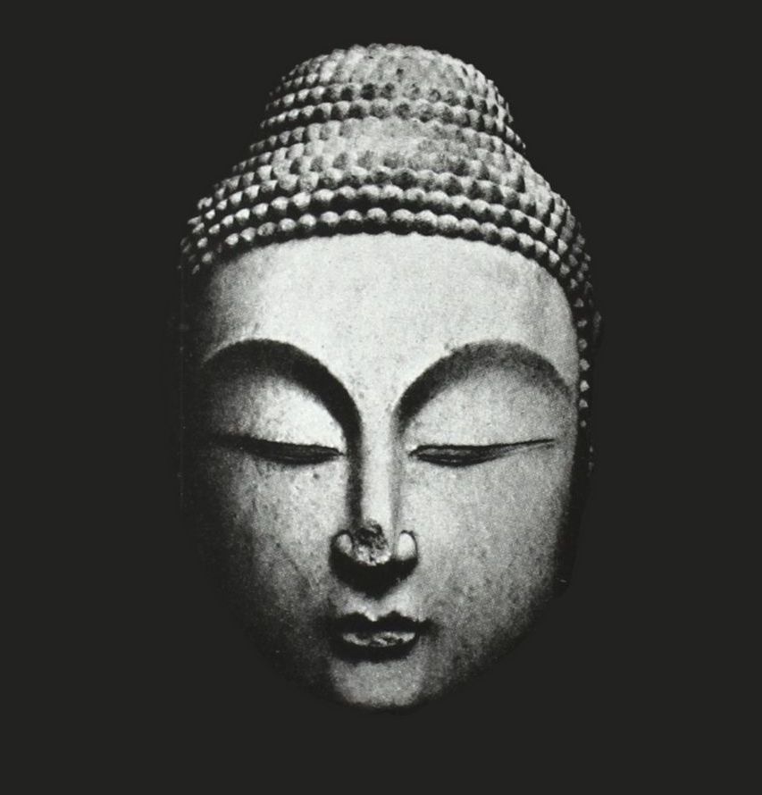 “Non ha senso elogiare e predicare la luce se nessuno la percepisce” Jung e il Buddhismo, misticismi a confronto