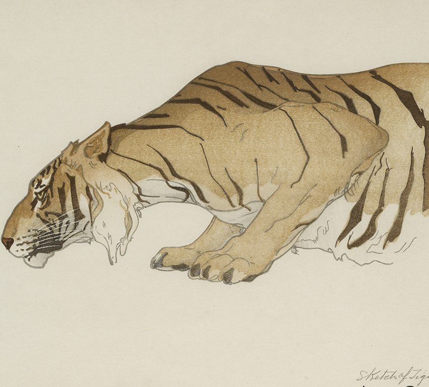 Una tigre nell’angolo della stanza. Bestiario tigrato: da Cristina Campo a Julio Cortázar, da Borges a Lizalde